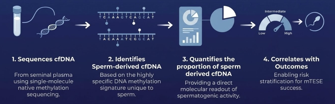 NOA Guide Technology